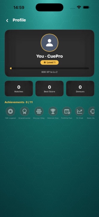Player profile with level and achievements